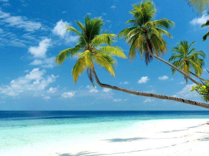 Mercure Maldives Kooddoo Adults-Only Resort - 35 Percent Off Return Domestic Transfers For Two Adults Until September Viligili Bagian luar foto